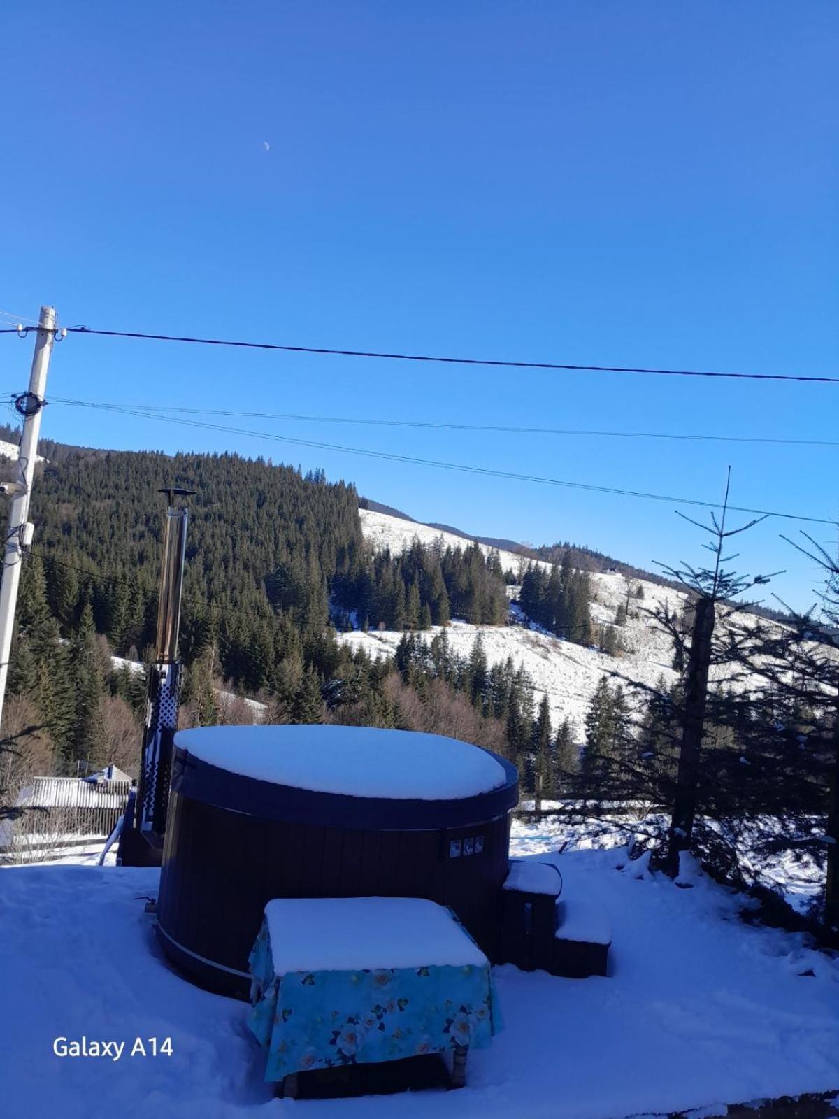 Затишні Карпати)) Apartment Verkhovyna Bagian luar foto